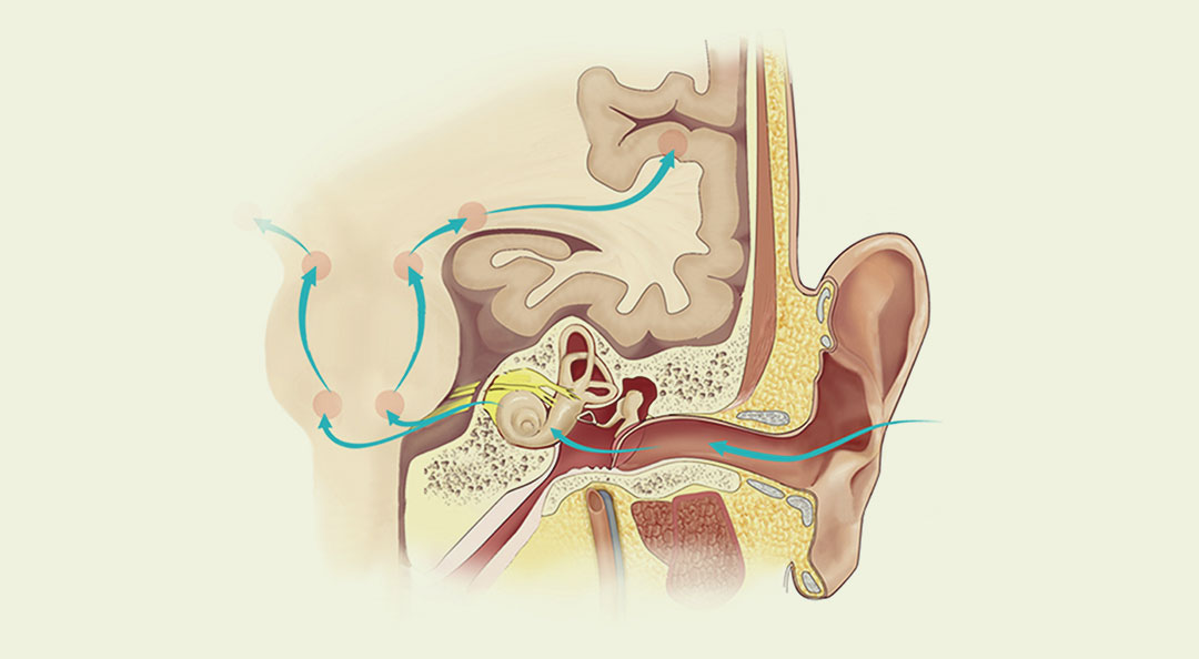 Otitis